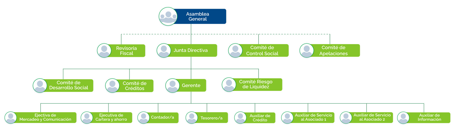 organigrama-fondo_TQ